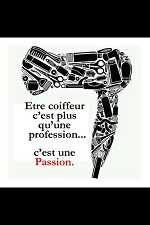 mb beauty11000Carcassonne
