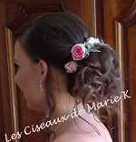 les ciseaux de marie k81400Rosires
