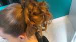 tout pour p'hair62380Clty
