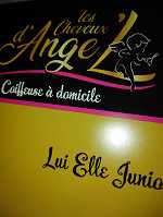 les cheveux d'ange'l85220Saint Maixent sur Vie