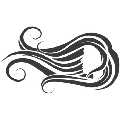 rosahair'coif