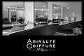 l'oral l'amiraut coiffure distrib.