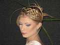 dom' coiffure