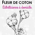 fleur de coton