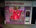 jardin orchide