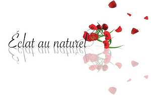 RaisonSociale