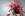 anabelle coiffure
