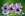 orchidee sauvage esthetique