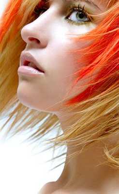 m pl'hair 44310 Saint Colomban