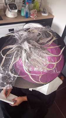 coiffure ba'titude 42110 Poncins