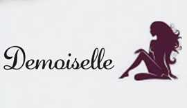 demoiselle 94350 Villiers sur Marne
