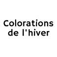 Les colorations tendance de l'hiver