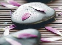 ORCHIDEE SAUVAGE ESTHETIQUE78140Vlizy Villacoublay