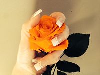 Reve d`Ongles78490Montfort l`Amaury