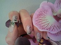 A.NAILS31370Poucharramet