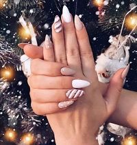 Cyn`s Beauty06750Caille