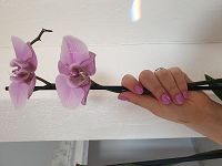 Stephanie coach beaut et bien-tre 0606130Grasse
