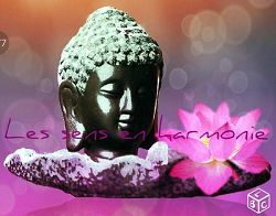 Les sens en harmonie 62120 Aire sur la Lys