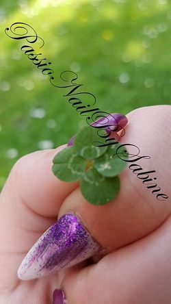 PassioNailBySabine 45160 Olivet