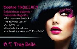 O.T. Trop Belle 77118 Bazoches ls Bray